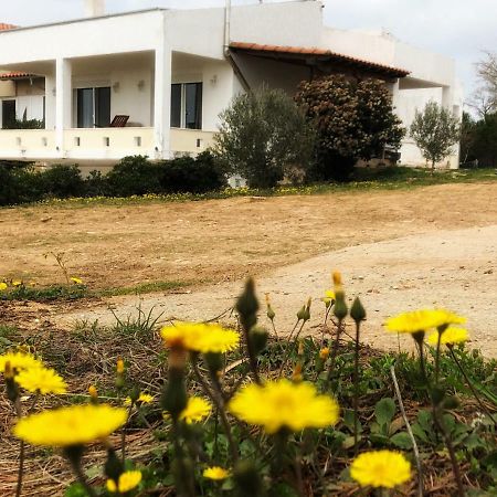 The Hillhouse Near Alexandroupolis Villa Ngoại thất bức ảnh