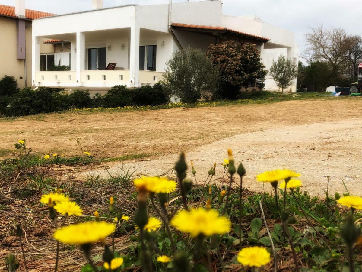 The Hillhouse Near Alexandroupolis Villa Ngoại thất bức ảnh